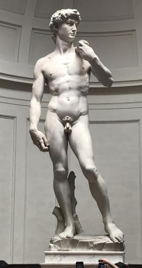 Dependace Il David Di Michelangelo Apartment Florence Exterior photo